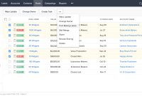 Crm service software
